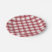 Rot und Weiß Kariert Pappteller (Schrägansicht)