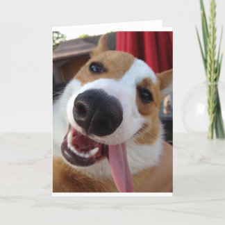 Rot und Weiß Pembroke Welsh Corgi Karte