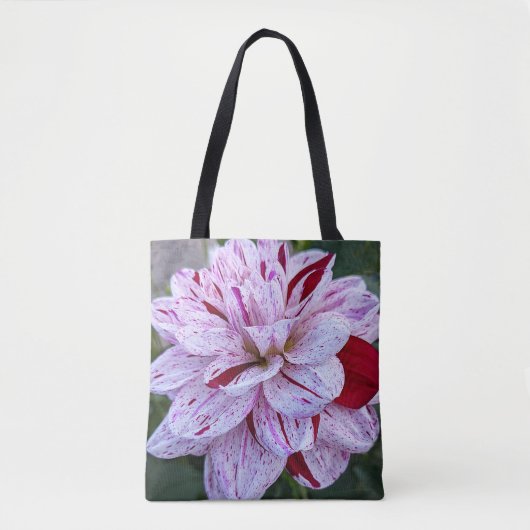 Rot und Weiß variierte Dahlia Bloom Bloral Tasche (Vorderseite)
