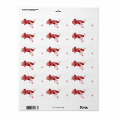 Rot-und Weißschneeforelle Adressaufkleber (Vorne)