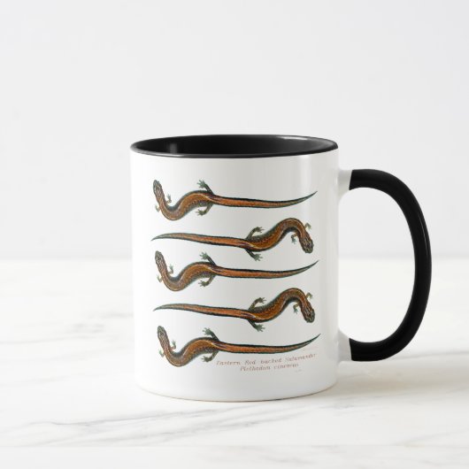 Rot unterstützte Salamanders Tasse (Rechts)