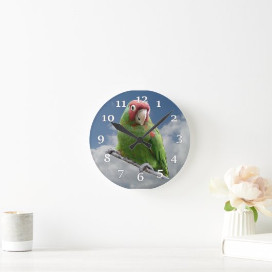 Rot verdeckte Parakeet-Wanduhr Runde Wanduhr (Zuhause)