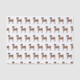 Rot-Weiß Alaskan Klee Kai Niedliches Hundsmuster Seidenpapier