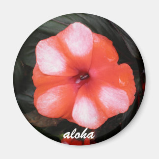 Rot-Weiß-Aloha Magnet