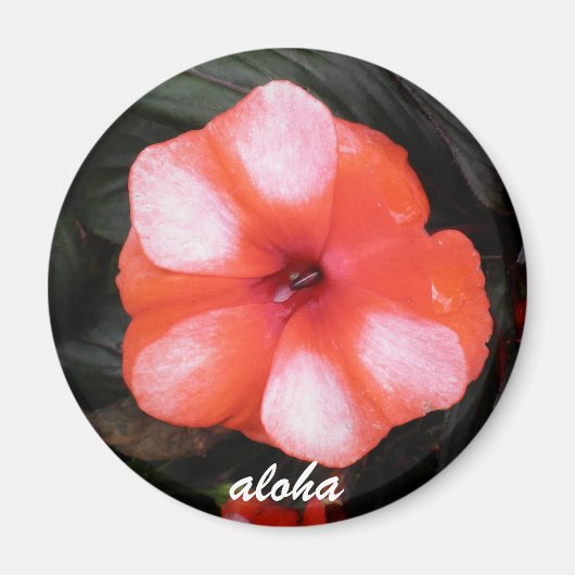 Rot-Weiß-Aloha Magnet (Vorne)