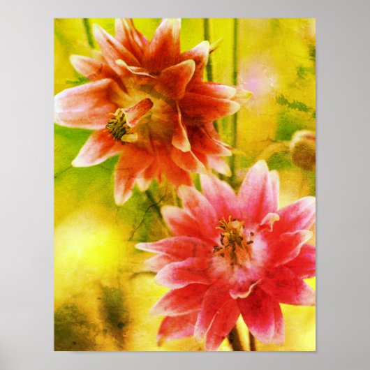 Rot-Weiß-Blume stört Kunst Poster (Vorne)