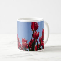 Rot-Weiß-Tulips-Feld Panorama-Tasse Kaffee