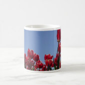 Rot-Weiß-Tulips-Feld Panorama-Tasse Kaffee Kaffeetasse (Mittel)
