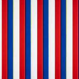 Rot weiß und Blau Leggings