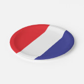 Rot weiß und blau pappteller (Schrägansicht)