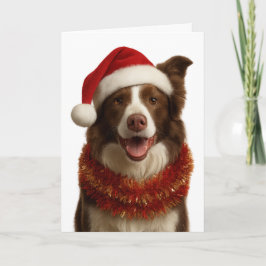 Rot-weiße Border Collie-Weihnachtskarte Karte
