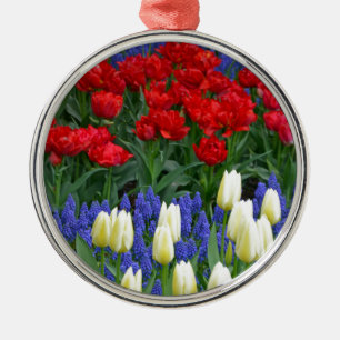 Rot-weiße Frühlingtulis Silbernes Ornament