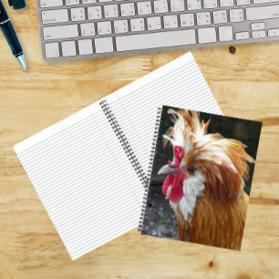 Rot-Weißes Polnisches Huhn Notizblock
