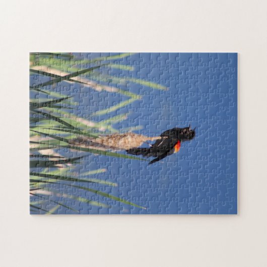 Rot-Wing-Blackbird-Rätsel Puzzle (Horizontal)