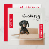 Rot Wir bewegen Dackel Hund in Box Card Dankeskarte (Vorne/Hinten)