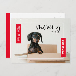 Rot Wir bewegen Dackel Hund in Box Postcard Postkarte