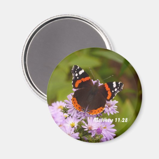 Rotadmiral-Schmetterling-Magnet Magnet (Vorderseite/Rückseite)