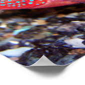 Rotafrikanischer Juwelier Poster (Ecke)