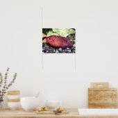 Rotafrikanischer Juwelier Poster (Küche)