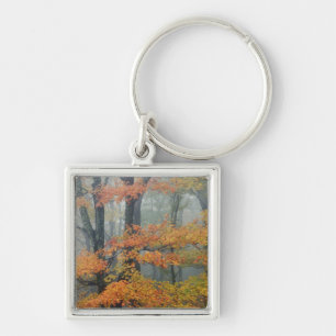 Rotahorn-Ahorn, Acer rubrum, Porträt im Nebel Schlüsselanhänger
