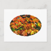 Rotapfel (Herbst) Postkarte (Vorderseite)