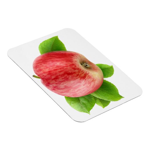 Rotapfel Magnet (Rechte Seite)