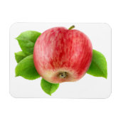 Rotapfel Magnet (Horizontal)