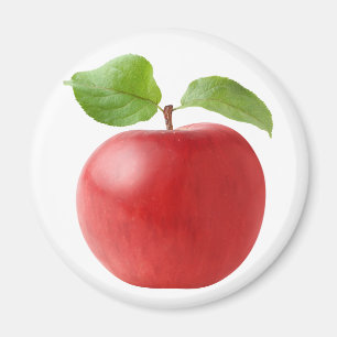 Rotapfel Magnet
