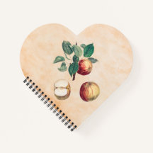 Rotäpfel mit Blätter