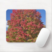 Rotapfelbaum in den Herbstfarben, in der Nähe von Mousepad (Mit Mouse)