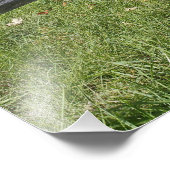 Rotapfelbaum in Herbstfarben, in der Nähe von Conc Fotodruck (Ecke)