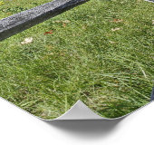 Rotapfelbaum in Herbstfarben, in der Nähe von Conc Poster (Ecke)