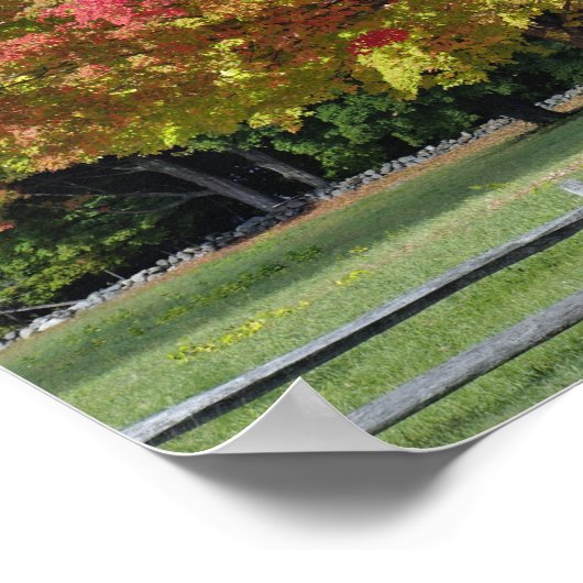 Rotapfelbaum in Herbstfarben, in der Nähe von Conc Poster (Ecke)