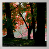 Rotapfelblätterblättern Poster (Vorne)