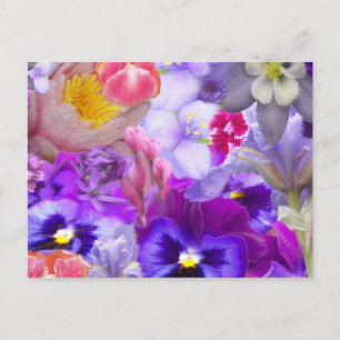 Rotary Garden Postkarte