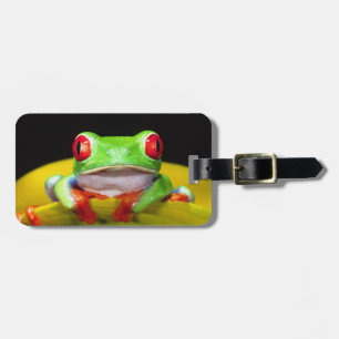 Rotaug-Laubfrosch, Agalychinis callidryas, Einheim Gepäckanhänger