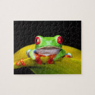 Rotaug-Laubfrosch, Agalychinis callidryas, Einheim Puzzle