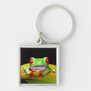 Rotaug-Laubfrosch, Agalychinis callidryas, Einheim Schlüsselanhänger
