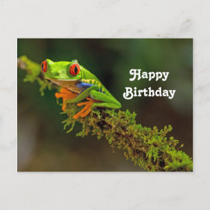 Rotaug-Laubfrosch-Foto-Geburtstag Postkarte