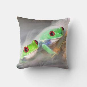 Rotaug-Laubfrosch im Nebel, Agalychinis 2 Kissen