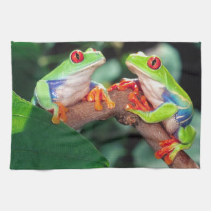 Rotaug-Laubfrosch-Paar, Agalychinis callidryas, Geschirrtuch