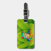 Rotaugelaubfrosch, Costa Rica Gepäckanhänger (Vorderseite vertikal)