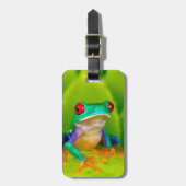 Rotaugelaubfrosch, Costa Rica Gepäckanhänger (Vorderseite vertikal)