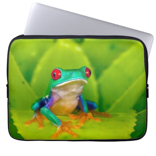 Rotaugelaubfrosch, Costa Rica Laptopschutzhülle (Vorderseite)