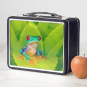 Rotaugelaubfrosch, Costa Rica Metall Brotdose (Beispiel)