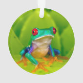 Rotaugelaubfrosch, Costa Rica Ornament (Rückseite)