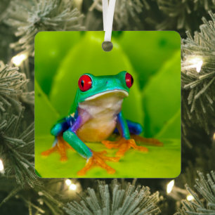 Rotaugelaubfrosch, Costa Rica Ornament Aus Metall
