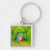 Rotaugelaubfrosch, Costa Rica Schlüsselanhänger (Vorne)