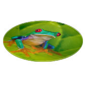 Rotaugelaubfrosch, Costa Rica Schneidebrett (Ecke)