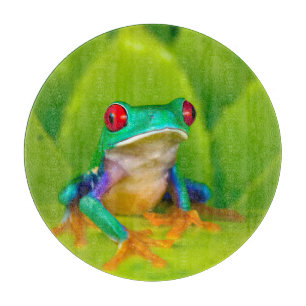 Rotaugelaubfrosch, Costa Rica Schneidebrett